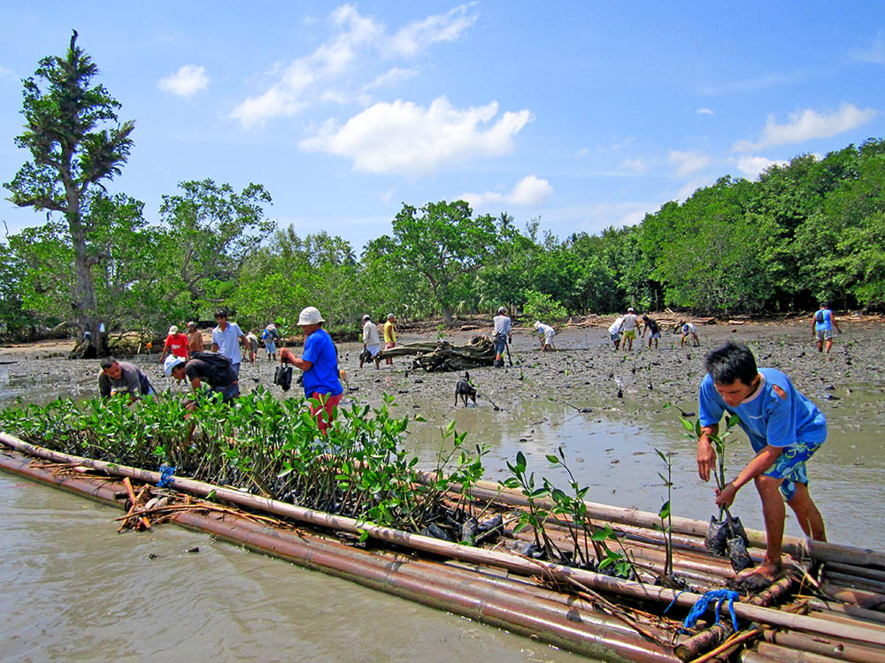  Click-A-Tree-Holistically-Sustainable-Reforestation-Made-Simple-Philippines